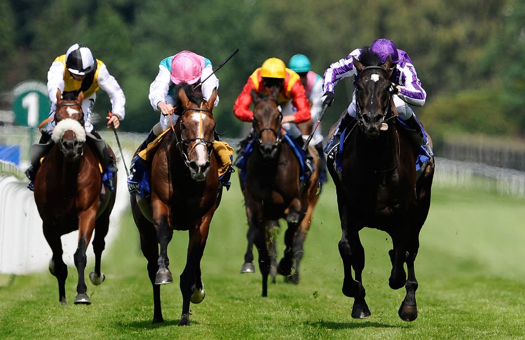 競馬仮眠ベッティング